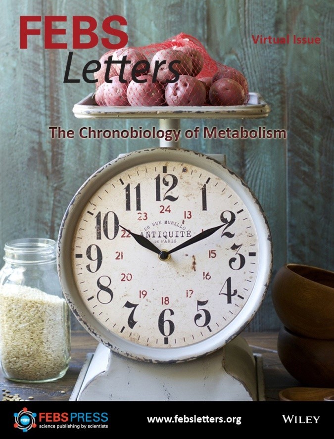 FEBS Letters Virtual Issue: Chronobiology of Metabolism